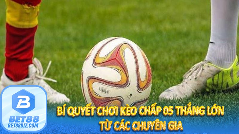 Bí Quyết Chơi Kèo Chấp 05 Thắng Lớn Từ Các Chuyên Gia