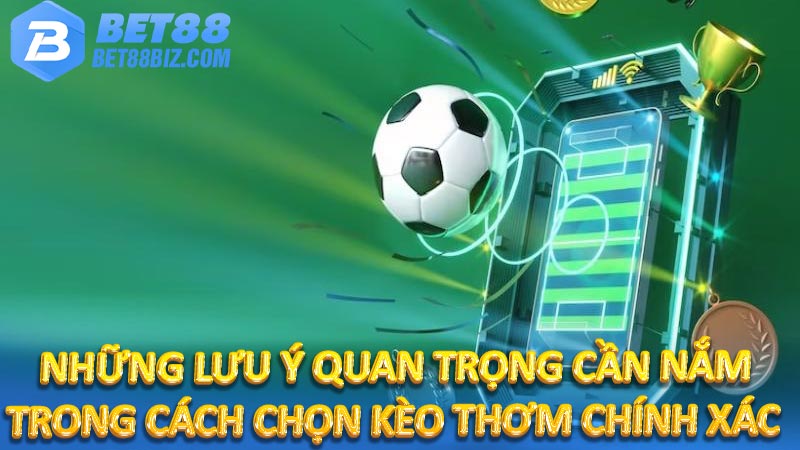 Những lưu ý quan trọng cần nắm trong cách chọn kèo thơm chính xác 